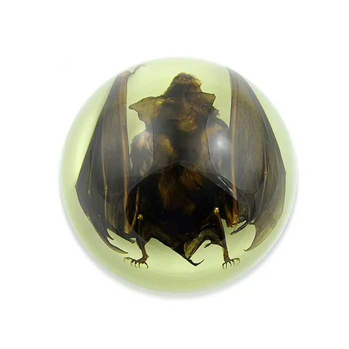 Bat Half Dome Paperweight