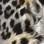 Copy of: Leopard Batten Jean