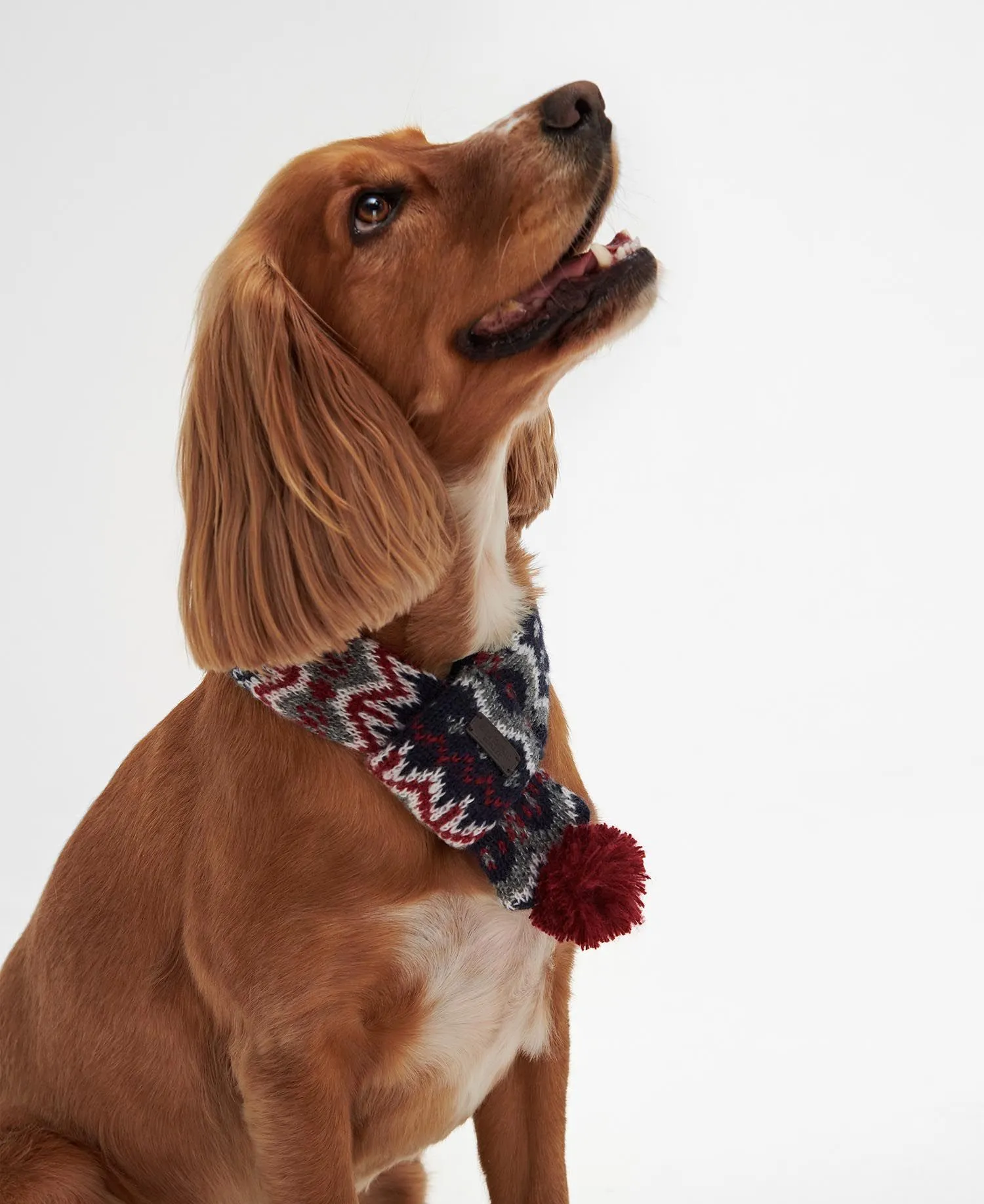  Fairisle Dog Scarf     