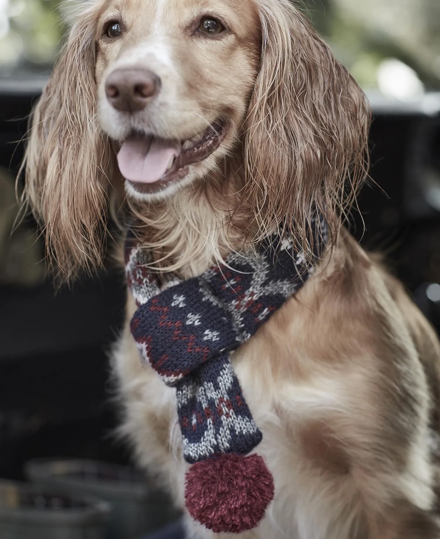  Fairisle Dog Scarf     